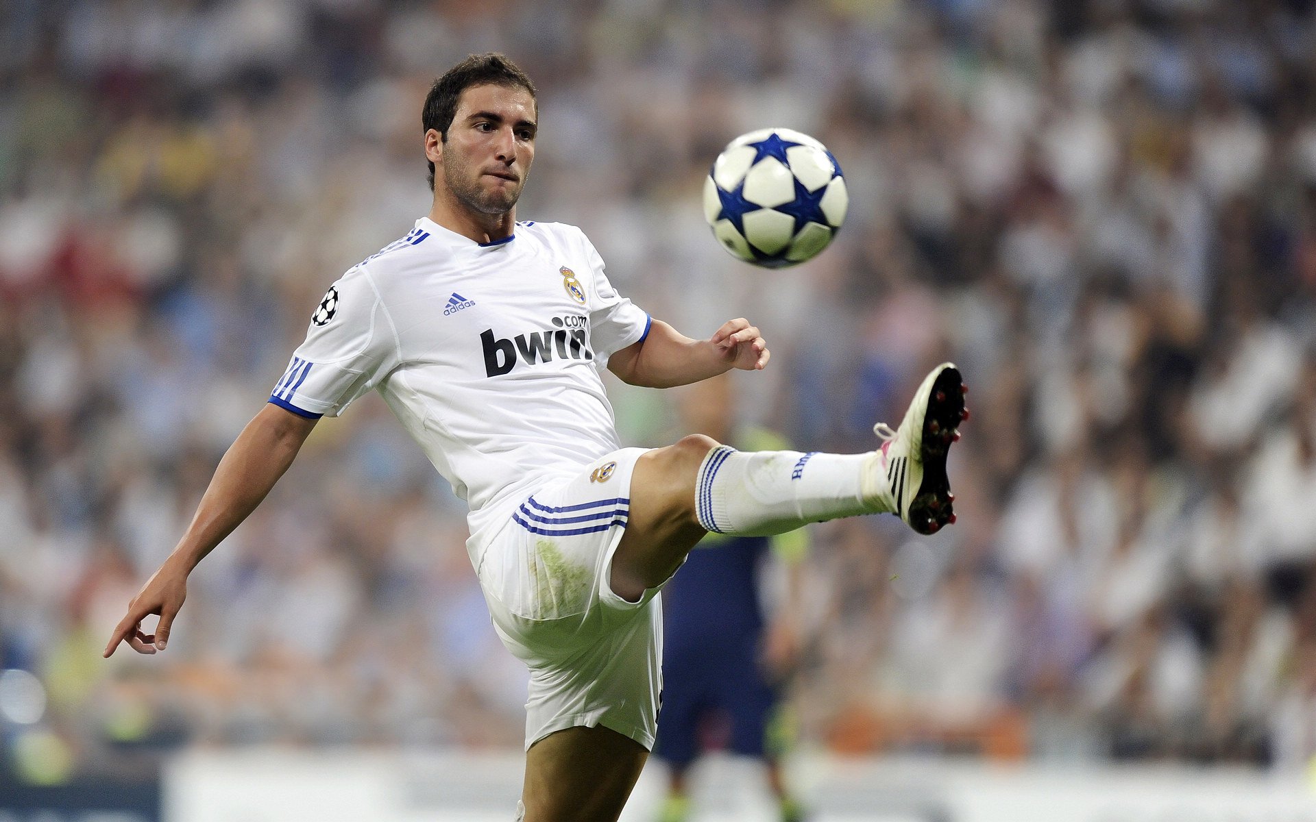 九游体育网页版-体育精神：逆境中奋起的榜样！，体育精神励志