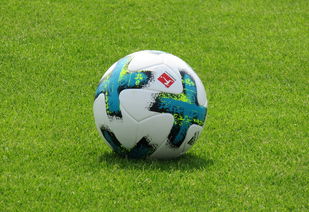 JIUYOU GAMING-多特蒙德防线再失误，错失榜首机会，多特蒙德ds